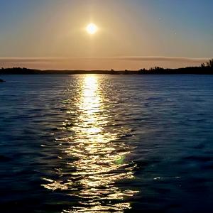 A bright moon reflects a golden path across a calm lake surrounded by silhouetted pine trees at night.