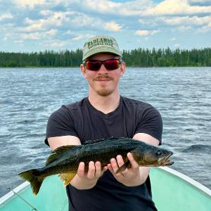 A man in a boat holding a walleye with a forest and lake background.